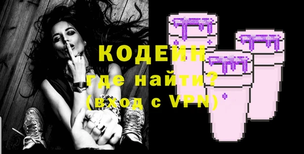 дживик Богородск