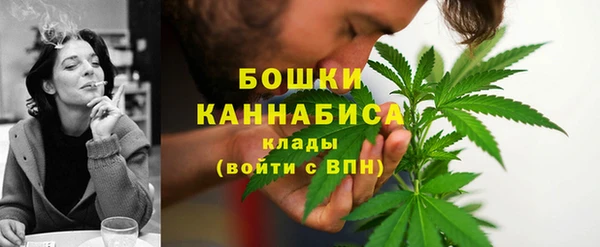 соль ск Бородино