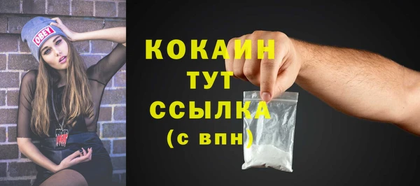 первитин Богданович