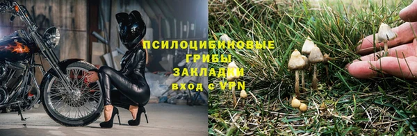 соль ск Бородино