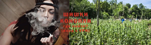 первитин Богданович