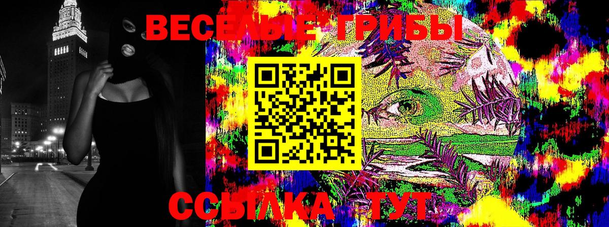 Галлюциногенные грибы мухоморы Великий Устюг