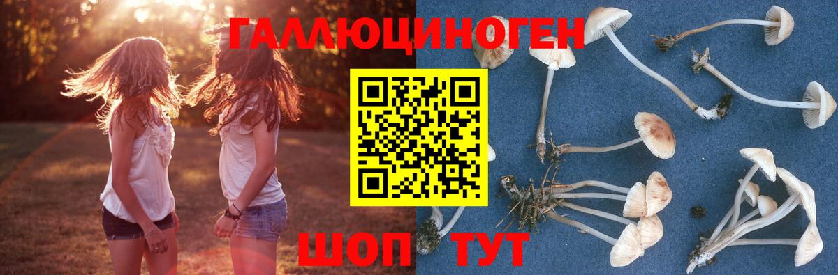 Великий Устюг  Псилоцибиновые грибы прущие грибы  Вход с VPN 